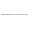 Gold Tip Black Label Arrow