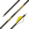 Gold Tip 22-Series Arrow
