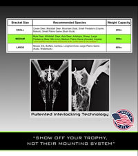 Dead-On Display European Skull Mounting System