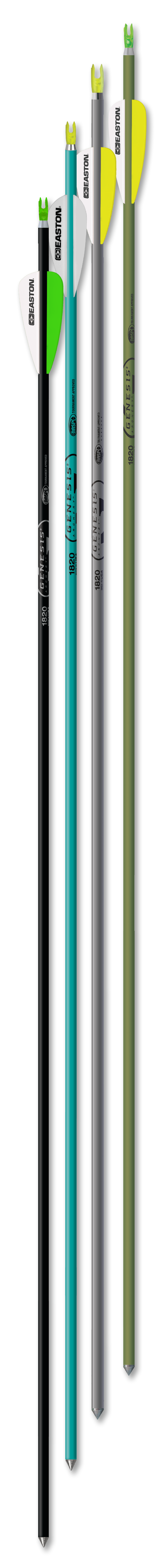Easton Genesis Arrow Teal 1820 6Pk
