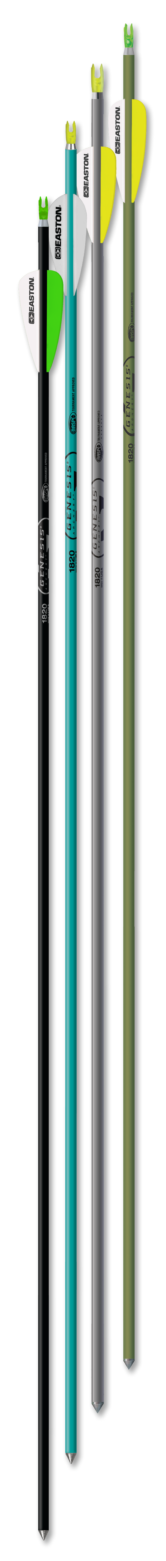 Easton Genesis Arrow Teal 1820 6Pk
