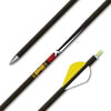 Gold Tip 30X Arrow