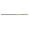 Gold Tip 30X Arrow