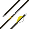 Gold Tip 30X Arrow