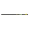 Gold Tip 22-Series Arrow