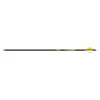 Gold Tip 22-Series Arrow