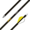 Goldl Tip Triple X Arrow