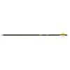 Goldl Tip Triple X Arrow