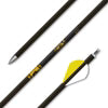 Goldl Tip Triple X Arrow