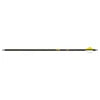 Goldl Tip Triple X Arrow
