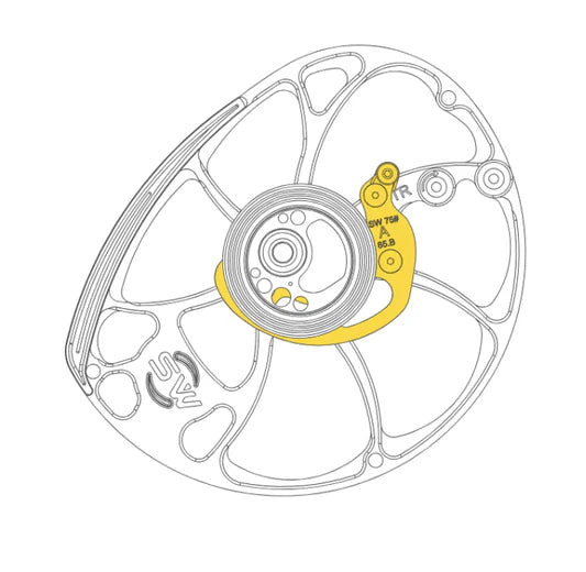 Mathew's Switchweight Module (Pair)