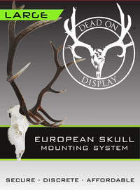 Dead-On Display European Skull Mounting System