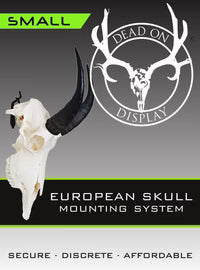 Dead-On Display European Skull Mounting System